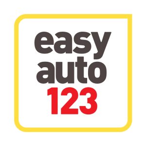 Branding - easyauto123, Left Chest